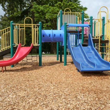 Playground Wood Chips Playground Wood Chips