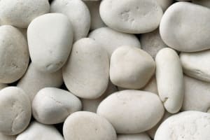 Ivory Exotic Pebbles