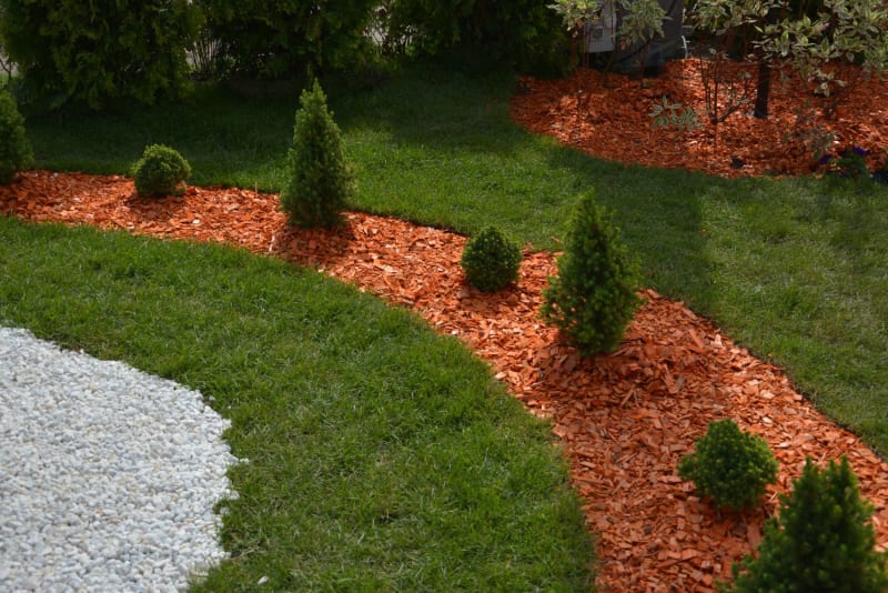 Red mulch around trees