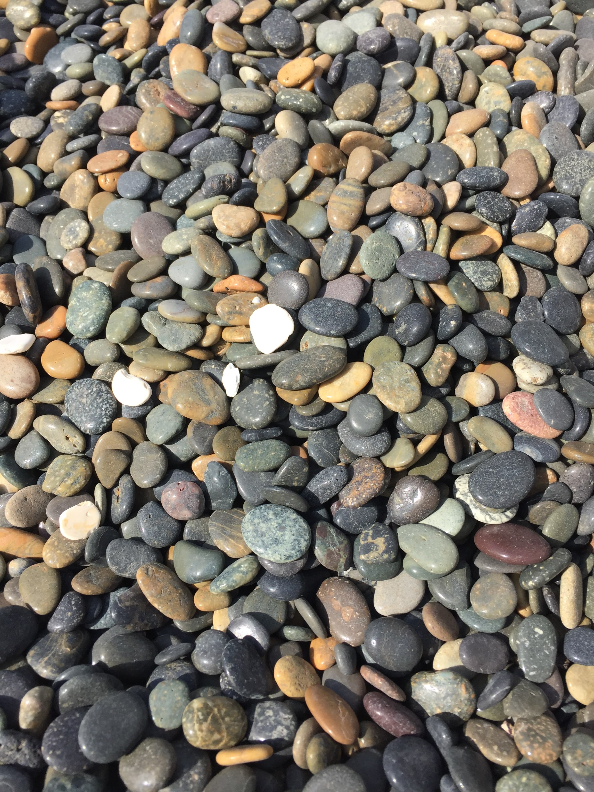 Beach Pebbles Mexican Beach Pebbles Polished Pebbles Massage