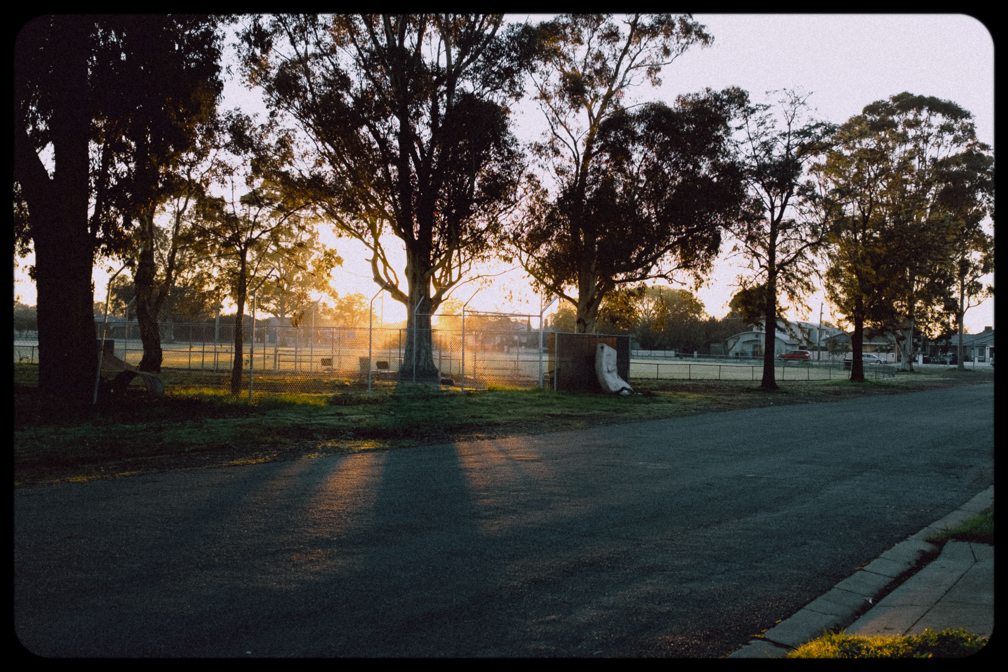 Golden morning walk