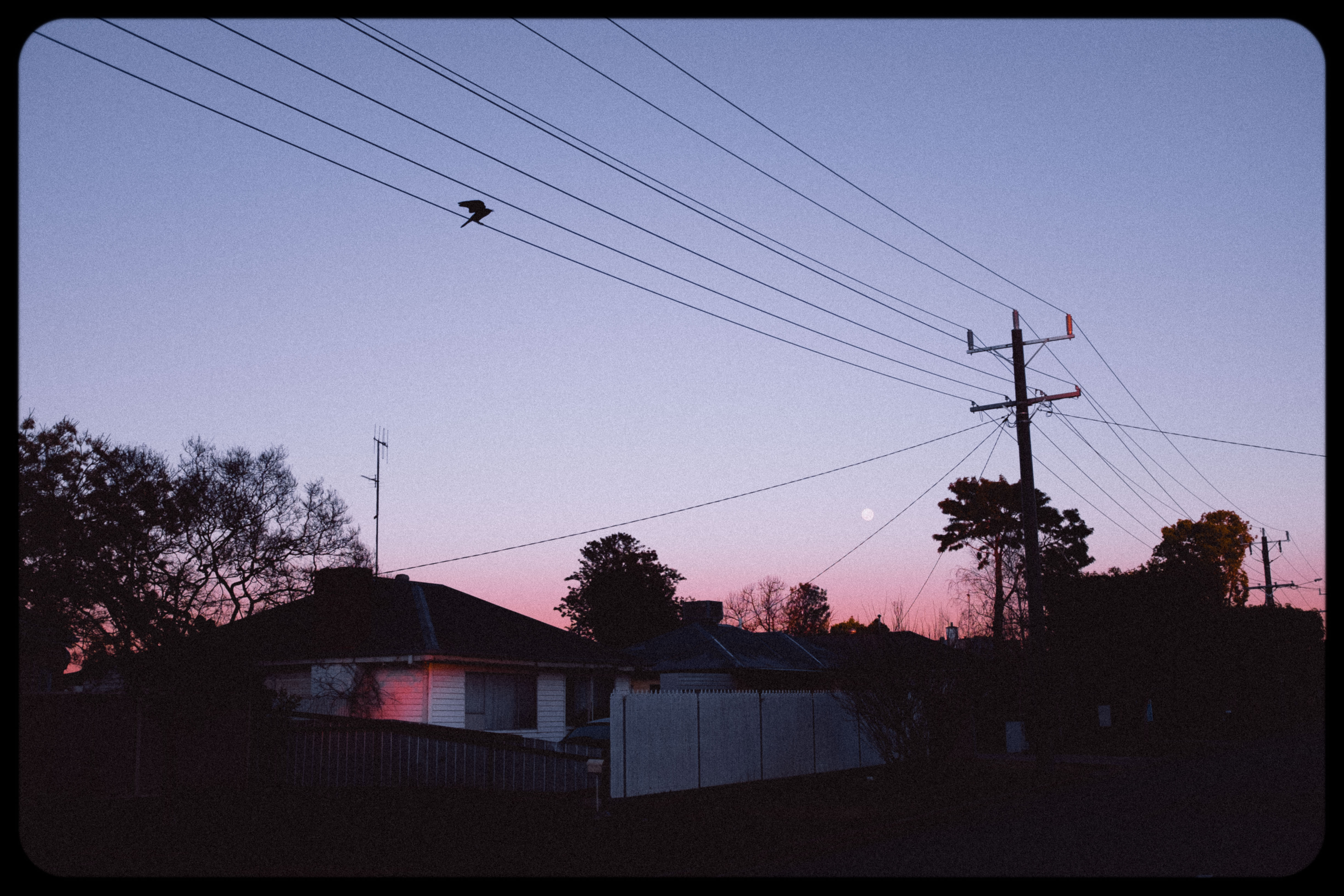 Early morning