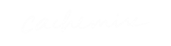 agn&egrave;s b. femme sacs