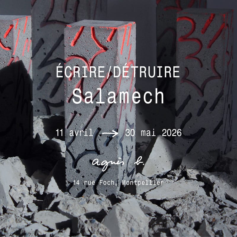 Salamech, exposition &Eacute;crire/D&eacute;truire 