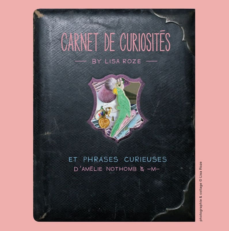 Lisa Roze, "Carnet de curiosit&eacute;s & phrases curieuses"