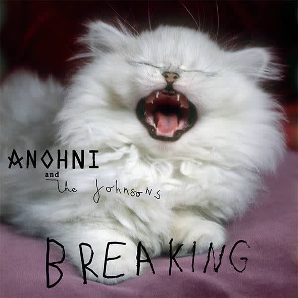 ANOHNI feat Antony and the Johnsons - Breaking