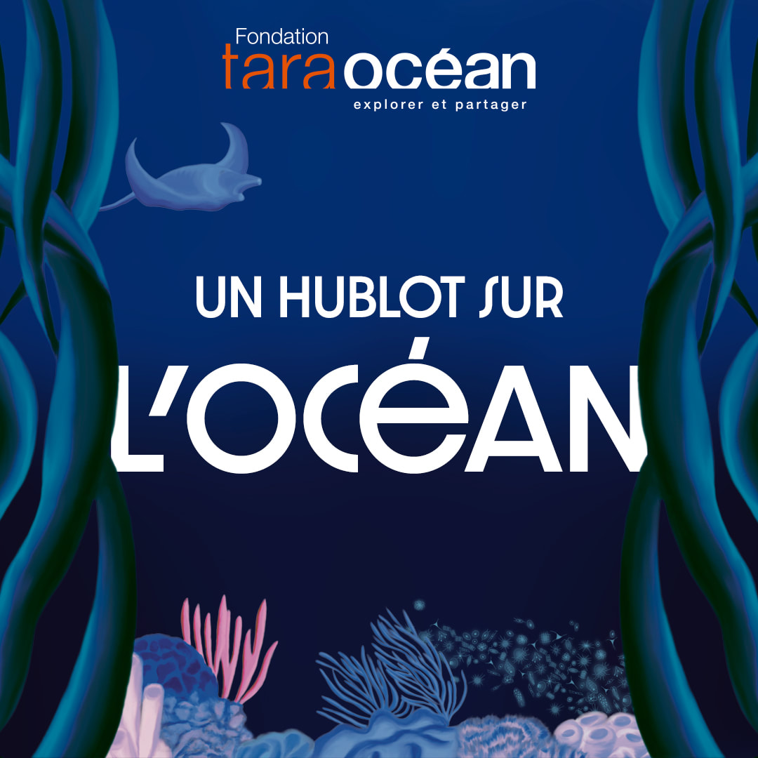 L'Océan dévoile ses secrets dans la 3ème saison du podcast de la Fondation Tara Océan