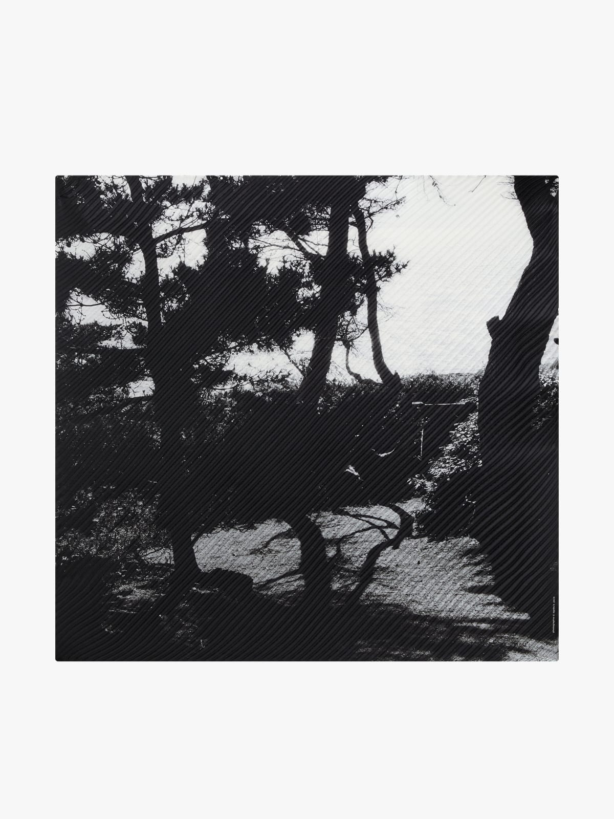 black Denise silk scarf