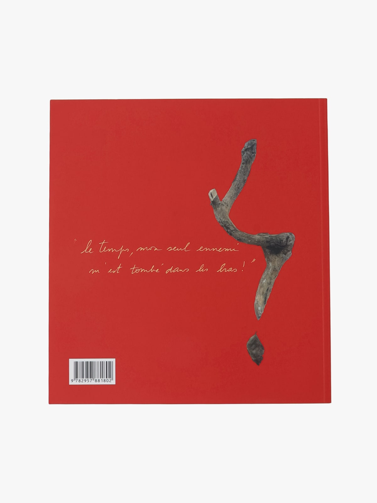 Livre photographique Les Dr&ocirc;lesses, agn&egrave;s b. interpr&egrave;te Claire Tabouret