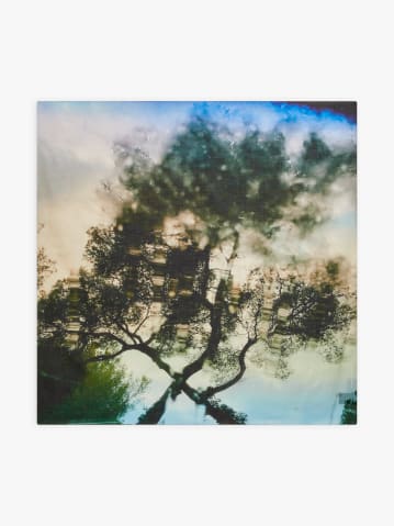 carr&eacute; Reflets en coton 