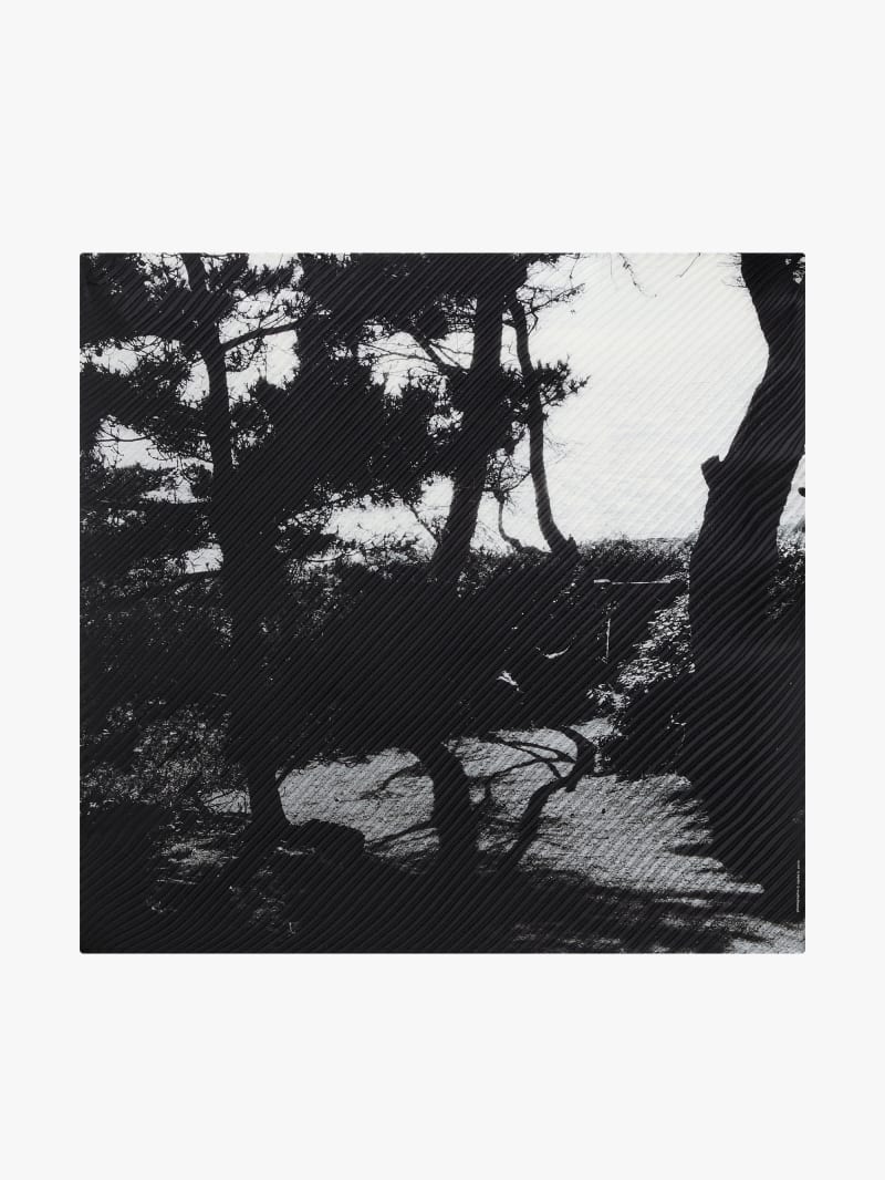 black Denise silk scarf image number 0