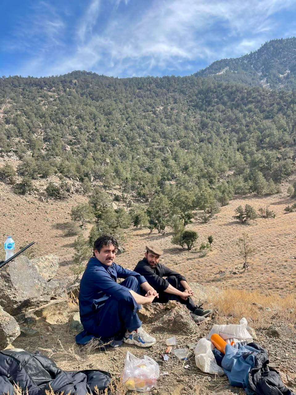 🇬🇧 English Version  The Largest Chilghoza Forest in Pakistan — Why Chilas Matters  By Syed Azeem Shah, Founder & CEO, Royal Chilghoza Pine Nuts Chilas, Diamer District, Gilgit-Baltistan  I was born in these forests. I have walked them for twenty-five years — not as a visitor, but as a resident, a harvester, and a researcher. What I share here is not drawn from reports. It is the testimony of someone who lives with these trees.  Where Chilghoza Naturally Grows in Pakistan  Chilghoza (Pinus gerardiana) does not grow in plantations. It is not irrigated. It is not sprayed. It grows wild — 100% organic — only in the high-altitude dry temperate zones of Pakistan. These are the confirmed natural forest ranges:  1. Chilas, Diamer District — Gilgit-Baltistan This is my home. And it is here, in the mountains of Diamer, that Pakistan's largest Chilghoza forest stands. The FAO/GEF project documents confirm this — the Diamer region holds the greatest forest area among all Chilghoza zones in the country.  Yet, despite this, Diamer's production is lower than Waziristan's. Why? Two reasons:  · Terrain. The forests of Chilas grow on steep mountain slopes. Harvesting is dangerous and physically demanding. Every cone must be climbed for and carried by hand. · Yield per bag. In Waziristan, one standard bag of cones yields around 12 kilograms of nuts. In Chilas, the same bag yields only about 5 kilograms.  But here is what the numbers do not show: the nuts of Chilas are larger. Buyers in China and the Gulf specifically ask for Chilas-grade Chilghoza because of its size, colour, and buttery flavour. This is the premium product — the one that earns the highest price.  2. Waziristan — Khyber Pakhtunkhwa (North & South) The Waziristan belt holds some of the largest and oldest Chilghoza forests in Pakistan. Production here is high — but the nuts are smaller. These forests feed the bulk trade.  3. Dir, Chitral, and Kohistan — Khyber Pakhtunkhwa In Dir and Chitral, Chilghoza grows alongside Deodar and Blue Pine. In Kohistan, the forests climb narrow valleys toward Gilgit-Baltistan. The cold, dry winters here produce nuts with a distinctive flavour — highly valued in regional markets.  4. Koh-e-Suleiman (Sherani) — Balochistan The Sulaiman Range is the southern edge of Chilghoza's natural range. These forests are drier, slower-growing, and uniquely adapted to low rainfall. They produce smaller but oil-rich nuts — a favourite in Gulf markets.  5. Astore and Nagar — Gilgit-Baltistan In Astore and Nagar, Chilghoza survives only in small pockets — approximately 7,000 trees combined. These are scattered, isolated populations that deserve protection, but they do not represent a major production zone.  The Negahban — Guardians of the Forest  In every Chilghoza village, there is a tradition older than any government law: the Negahban. These are local men and women, chosen by the community, who guard the forest day and night during the harvest season. They ensure that no tree is cut, no unripe cone is taken, and no outsider enters without permission.  This system has protected our forests for centuries — long before any international project arrived. When we speak of "sustainable harvesting," we are not introducing a new idea. We are describing a practice that our grandparents followed, and that we continue today.  At Royal Chilghoza Pine Nuts, we work hand-in-hand with the Negahban. They are our first line of defence — and our most trusted partners.  Why Chilas Must Be Prioritized  The FAO Terminal Evaluation (2025) rated the Diamer District as one of four key project sites. The project's vegetation study confirmed strong forest recovery in Diamer. And yet — Diamer remains underrepresented in national and international forest protection funding.  This must change. Here is why:  · Chilas is the largest. The forest area of Diamer exceeds any other Chilghoza zone in Pakistan. Protecting it is protecting the backbone of the national resource. · Chilas is the finest. The premium-grade nuts that command the highest prices in China and the Gulf come from Chilas. · Chilas is under-supported. Despite its size and quality, the Diamer forests have not received the attention they deserve from international climate and forest programs.  A 100% Organic Reality  In other parts of the world, Chilghoza is sometimes cultivated — with irrigation, fertiliser, or pest control. In Pakistan, none of this exists. Our trees:  · Grow only from wild seed · Receive only rainwater and snowmelt · Are never sprayed with chemicals · Are harvested by hand, by local families · Are dried under the open Himalayan sun  This is not a claim. It is a fact that anyone who visits these forests can verify.  Our Commitment  At Royal Chilghoza Pine Nuts, our work is built on three pillars:  1. Protect the forest — starting with Chilas, our ancestral home. 2. Support the community — every harvest strengthens local families. 3. Share the harvest with the world — without ever compromising the future.  We invite international organizations, forestry departments, and climate programs to work with us — not just to document these forests, but to protect them for the generations to come.  This is the forest we protect. This is the forest we share with the world. 
🇨🇳 Chinese Version  巴基斯坦最大的 Chilghoza 森林 — 为什么吉拉斯如此重要  作者：Syed Azeem Shah，Royal Chilghoza Pine Nuts 创始人兼首席执行官 巴基斯坦吉尔吉特-巴尔蒂斯坦迪亚米尔县吉拉斯  我出生在这些森林中。我在其中行走了二十五年 — 不是作为访客，而是作为居民、采集者和研究者。我在这里分享的不是来自报告的内容。这是与这些树木共同生活的人的见证。  Chilghoza 在巴基斯坦的自然生长地  Chilghoza（Pinus gerardiana）不是人工种植的。它不经过灌溉。它不喷洒农药。它只生长在巴基斯坦高海拔的干燥温带地区 — 野生、100% 有机。以下是已确认的天然森林分布区：  1. 吉拉斯，迪亚米尔县 — 吉尔吉特-巴尔蒂斯坦 这是我的家。正是在迪亚米尔的群山中，矗立着巴基斯坦最大的 Chilghoza 森林。FAO/GEF 的项目文件证实了这一点 — 迪亚米尔地区的森林面积在全国所有 Chilghoza 分布区中位居首位。  然而，尽管如此，迪亚米尔的产量却低于瓦济里斯坦。为什么？有两个原因：  · 地形。 吉拉斯的森林生长在陡峭的山坡上。采集既危险又耗费体力。每一颗松果都必须攀爬采摘、手扛下山。 · 每袋产量。 在瓦济里斯坦，一标准袋松果可出约 12 公斤松子。而在吉拉斯，同样的袋子只能出约 5 公斤。  但数字无法显示的是：吉拉斯的松子更大。 中国和海湾地区的买家专门指名要求吉拉斯级别的 Chilghoza，因为其尺寸、色泽和奶油般的风味。这是高端产品 — 能够获得最高价格的产品。  2. 瓦济里斯坦 — 开伯尔-普什图赫瓦省（北与南） 瓦济里斯坦地带拥有巴基斯坦最大、最古老的 Chilghoza 森林之一。这里产量高 — 但松子较小。这些森林供应大宗贸易。  3. 迪尔、吉德拉尔和科希斯坦 — 开伯尔-普什图赫瓦省 在迪尔和吉德拉尔，Chilghoza 与雪松和蓝松共同生长。在科希斯坦，森林沿着狭窄的山谷向吉尔吉特-巴尔蒂斯坦攀升。这里寒冷干燥的冬季赋予松子独特的风味 — 在区域市场备受推崇。  4. 苏莱曼山脉（舍拉尼）— 俾路支省 苏莱曼山脉是 Chilghoza 自然分布区的南端。这些森林更干燥、生长更慢，独特地适应了低降雨量。它们出产较小但富含油脂的松子 — 在海湾市场颇受欢迎。  5. 阿斯托尔和纳加尔 — 吉尔吉特-巴尔蒂斯坦 在阿斯托尔和纳加尔，Chilghoza 仅存于小片区域 — 合计约 7,000 棵树。这些是分散、孤立的小种群，值得保护，但并不构成主要产区。  Negahban — 森林守护者  在每一个 Chilghoza 村庄，都有一个比任何政府法律都更古老的传统：Negahban。他们是社区选出的当地男女，在采收季节日夜守护森林。他们确保没有树木被砍伐、没有未成熟的松果被采摘、没有未经允许的外人进入。  这一制度保护了我们的森林数百年 — 早在任何国际项目到来之前。当我们谈论"可持续采收"时，我们并不是在引入一个新概念。我们是在描述我们的祖辈遵循、我们延续至今的实践。  在 Royal Chilghoza Pine Nuts，我们与 Negahban 携手合作。他们是我们的第一道防线 — 也是我们最信任的伙伴。  为什么吉拉斯必须被优先考虑  FAO 终期评估（2025 年）将迪亚米尔县列为四个关键项目点之一。项目的植被研究证实了迪亚米尔森林的强劲恢复。然而，迪亚米尔在国家及国际森林保护资金中仍然未得到充分重视。  这必须改变。原因如下：  · 吉拉斯最大。 迪亚米尔的森林面积超过巴基斯坦任何其他 Chilghoza 分布区。保护它，就是保护国家资源的命脉。 · 吉拉斯最优。 在中国和海湾地区获得最高价格的高端松子，来自吉拉斯。 · 吉拉斯被忽视。 尽管其规模和质量，迪亚米尔森林并未从国际气候和森林项目中获得应有的关注。  100% 有机的现实  在世界其他地区，Chilghoza 有时经过栽培 — 灌溉、施肥或病虫害防治。在巴基斯坦，这些都不存在。我们的树木：  · 仅从野生种子生长 · 仅接受雨水和融雪 · 从不喷洒化学物质 · 由当地家庭手工采集 · 在喜马拉雅露天阳光下晾晒  这不是声称。这是任何访问这些森林的人都能验证的事实。  我们的承诺  在 Royal Chilghoza Pine Nuts，我们的工作建立在三大支柱之上：  1. 保护森林 — 从吉拉斯开始，我们的祖居之地。 2. 支持社区 — 每一次收获都增强当地家庭。 3. 与世界分享收获 — 绝不牺牲未来。  我们邀请国际组织、林业部门和气候项目与我们合作 — 不仅仅是记录这些森林，而是为子孙后代保护它们。  这就是我们保护的森林。这就是我们与世界分享的森林。  ---