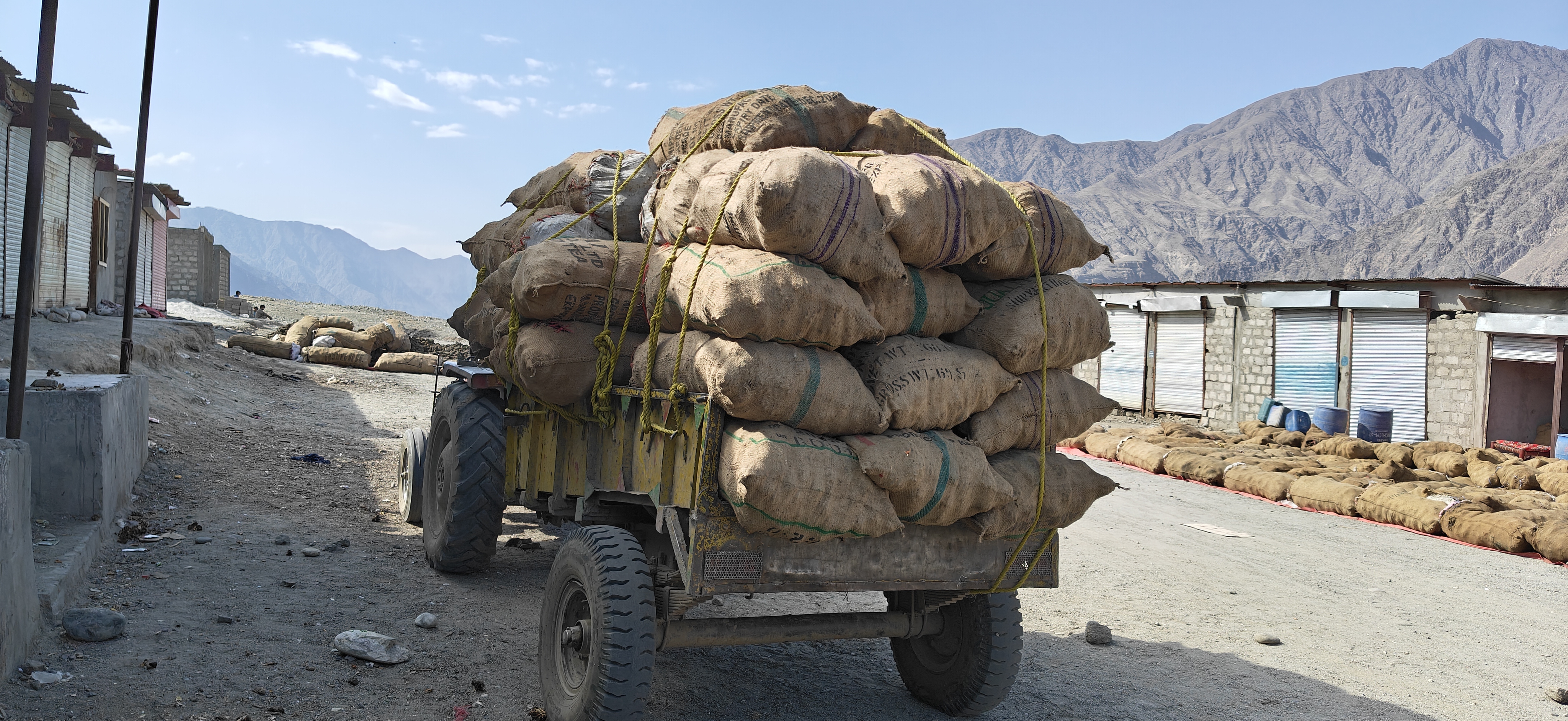 Freshly harvested Chilgoza cones arriving by tractor into the local Chilgoza market of Chilas City — where they are spread out in the open under the pure Himalayan sun. This natural sun-drying process gently opens the cones without any chemicals or artificial heat, preserving the authentic aroma and organic quality of Royal Chilghoza Pine Nuts from the wild forests of Gilgit-Baltistan.
新鲜采收的 Chilgoza 松果由拖拉机运抵吉拉斯市的当地 Chilgoza 市场——在纯净的喜马拉雅阳光下铺开。这种天然日晒过程温和地打开松果,无需任何化学物质或人工加热,保留了来自吉尔吉特-巴尔蒂斯坦野生森林的 Royal Chilghoza Pine Nuts 的正宗香气和有机品质。
مخاريط Chilgoza المحصودة حديثاً تصل بالجرار إلى سوق Chilgoza المحلي في مدينة تشيلاس — حيث تُفرش في الهواء الطلق تحت شمس الهيمالايا النقية. هذه العملية الطبيعية للتجفيف بالشمس تفتح المخاريط بلطف دون أي مواد كيميائية أو حرارة صناعية، مما يحافظ على الرائحة الأصيلة والجودة العضوية لـ Royal Chilghoza Pine Nuts من الغابات البرية في جيلجيت-بلتستان.