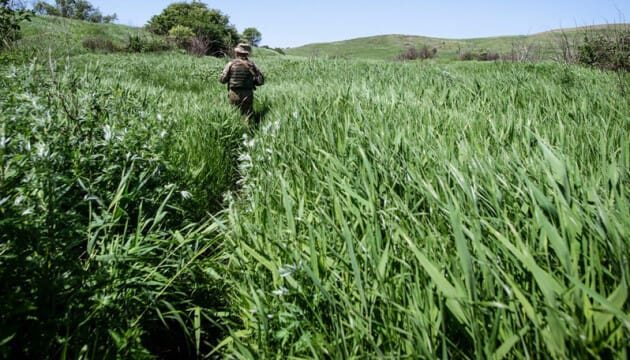 Боевики заминировали украинские позиции Боевики заминировали украинские позиции