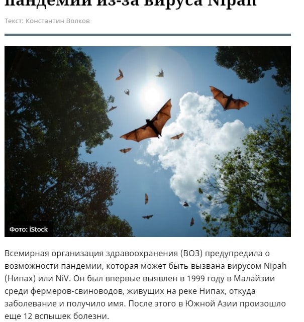 Россия угрожает миру новой пандемией вируса Nipah Россия угрожает миру новой пандемией вируса Nipah