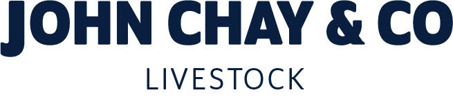 John Chay & Co logo