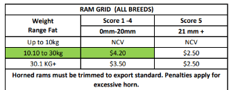 Hillside Ram grid (5/10/26), Narrogin WA - Agora Livestock listing 5LEIXPG