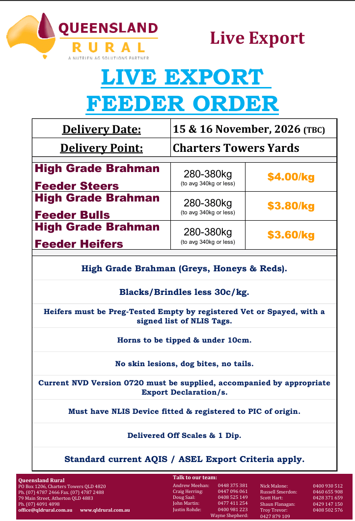 Queensland Rural Live Export Feeder Cattle Order Nov 15-16 Delivery Charters Towers, Charters Towers QLD - Agora Livestock listing WWPI7DK