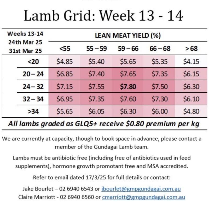 LMY lamb grid, South Gundagai NSW - Agora Livestock listing 7NLIMG1