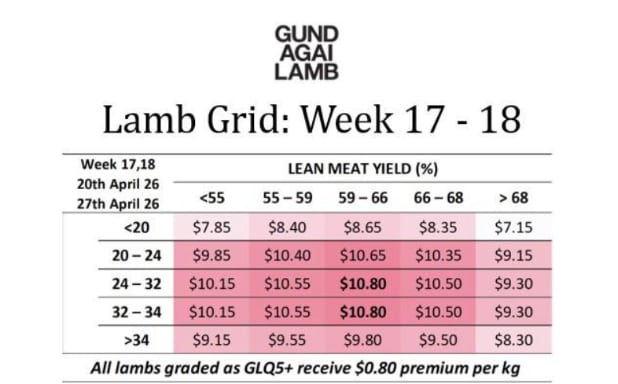 GUNDAGAI LAMB ( Lamb grid week 17-18)wc April 20 & 26th, Gundagai NSW - Agora Livestock listing WWPIVN6