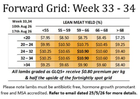 GUNDAGAI LAMB Forward Lamb grid : Week 33 & 34 ( WC Aug 10th & 17th ), Gundagai NSW - Agora Livestock listing OKVINPW
