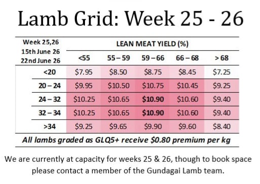 GUNDAGAI Lamb grid : week 25-26 ( WC June 15 & 22), Gundagai NSW - Agora Livestock listing 5LEIX2E