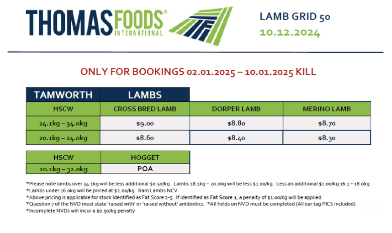 Lambs (grid 50), Tamworth NSW - Agora Livestock listing PZPIQQN