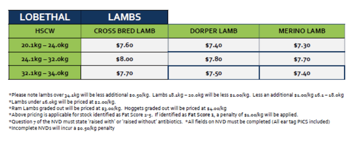 Lambs (grid 5), Lobethal SA - Agora Livestock listing 4Z6IVPN