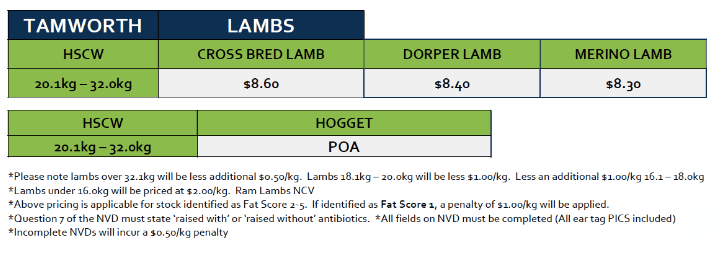Lambs (grid 46C), Tamworth NSW - Agora Livestock listing Y4LU2R