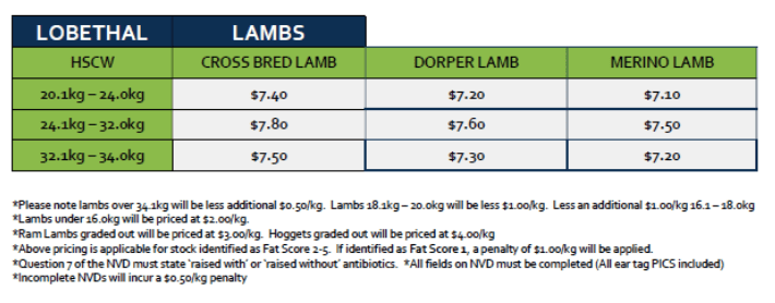 Lambs (grid 12), Lobethal SA - Agora Livestock listing PZPIQN4