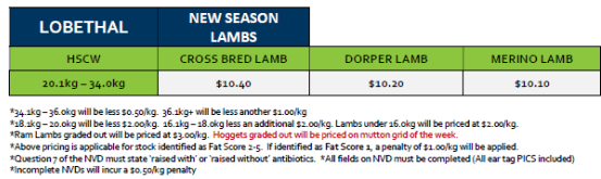 Lobethal New season Lamb Grid 41 ( 6 Oct 26), Lobethal SA - Agora Livestock listing ER6I50X