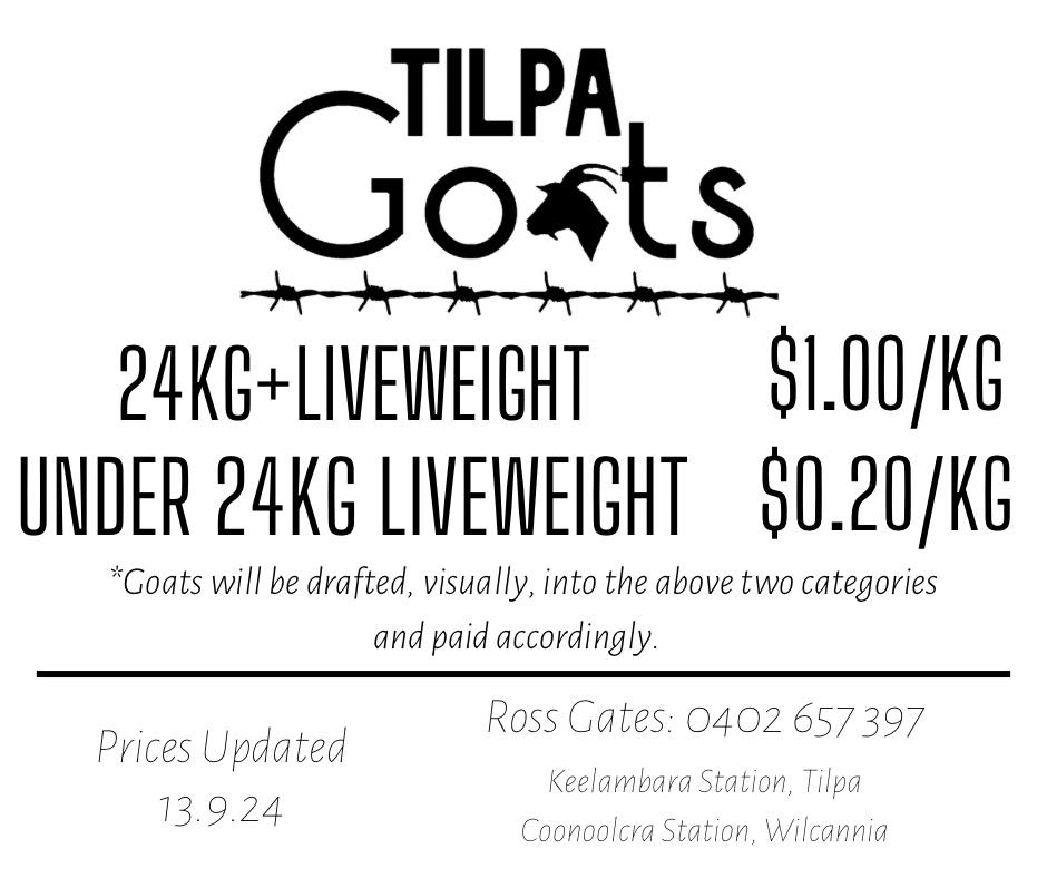 Liveweight goats, Wilcannia NSW - Agora Livestock listing DVOINR