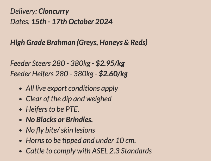 Brahman Feeder Heifers, Live Export Order, Cloncurry QLD - Agora Livestock listing DVOI5Z