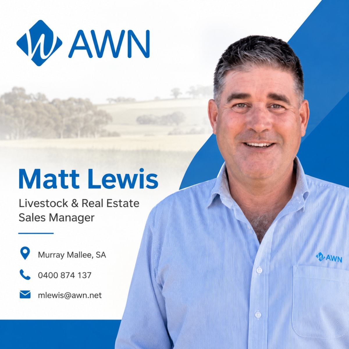 Merino Ewes (SIL ), Loxton SA - Agora Livestock listing 4Z6ID5O