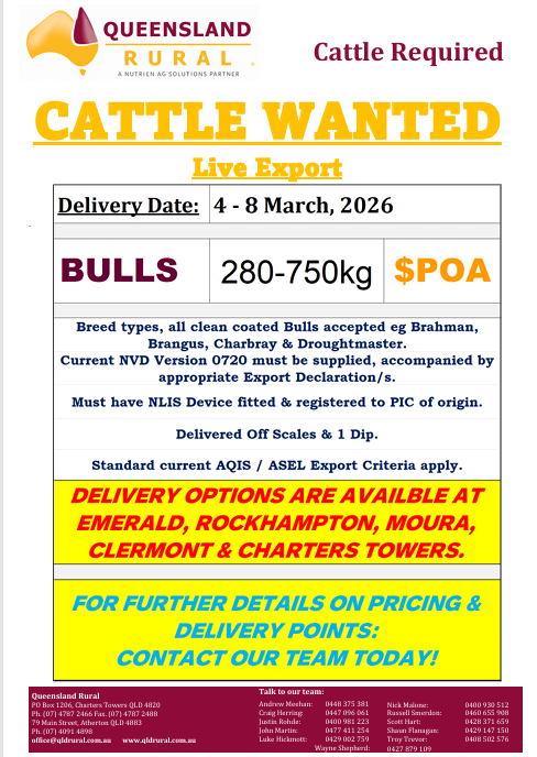 Queensland Rural Live Export Bulls required 280-750kg, various QLD - Agora Livestock listing NDPI251