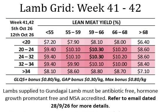 Lamb Grid : week 41-43 ( WC Oct 5 & 12 ), Gundagai NSW - Agora Livestock listing VDPIE10