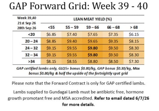 GUNDAGAI Lamb Forward Grid week 39 & 40 ( WC 21 & 28th Sept ), Gundagai NSW - Agora Livestock listing Y4LU51G