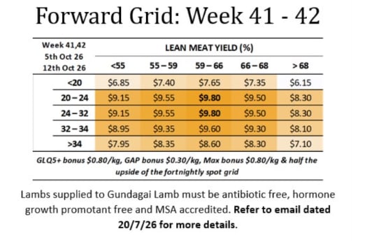 Forward trade lamb grid week 41-42 ( WC Oct 5th & 12th ), Gundagai NSW - Agora Livestock listing R2PC7XE