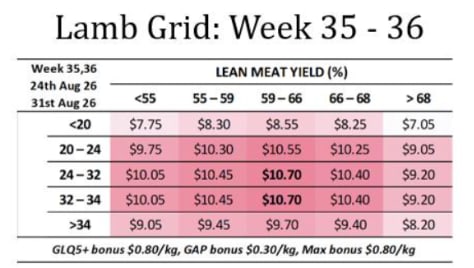 Lamb Grid week : 35-36 ( wc 24 & 31 AUG ), Gundagai NSW - Agora Livestock listing WWPIVPD