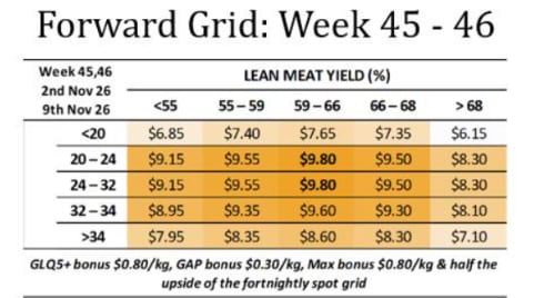 Forward Lamb Grid week : 45-46 ( WC Nov 2nd & 9th ), Gundagai NSW - Agora Livestock listing 1N0IOMZ