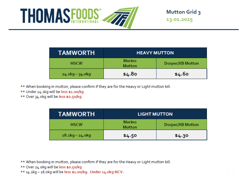 Mutton (grid 3), Tamworth NSW - Agora Livestock listing 5LEI43O