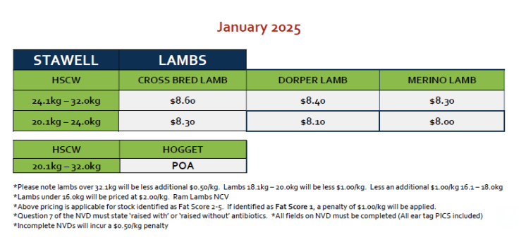 Lambs - Jan 2025, Stawell VIC - Agora Livestock listing Z0GB113