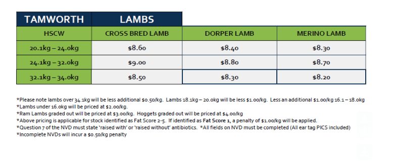 Lambs (grid 2), Tamworth NSW - Agora Livestock listing R2PC274