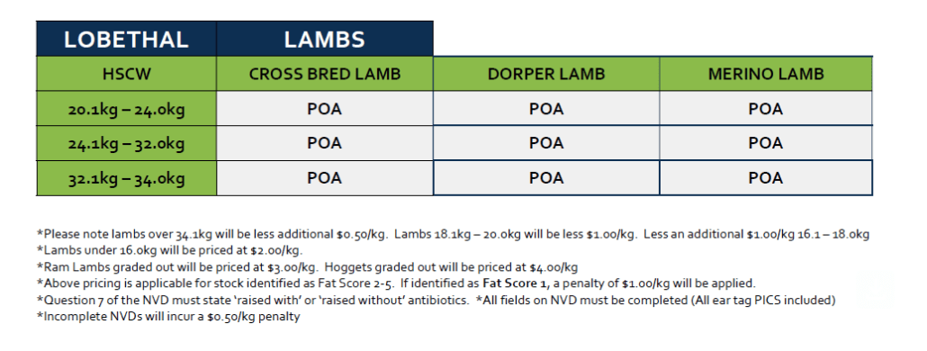 Lambs (grid 4), Lobethal SA - Agora Livestock listing Y4LUWQ3