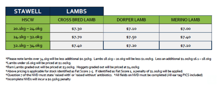 Lambs (grid 7), Stawell VIC - Agora Livestock listing OKVI10X
