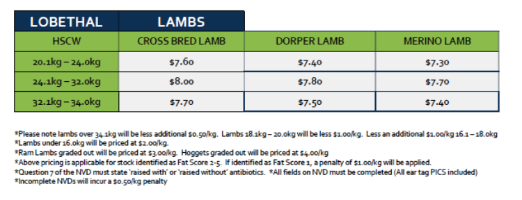 Lambs (grid 8B), Lobethal SA - Agora Livestock listing DVOIMLG