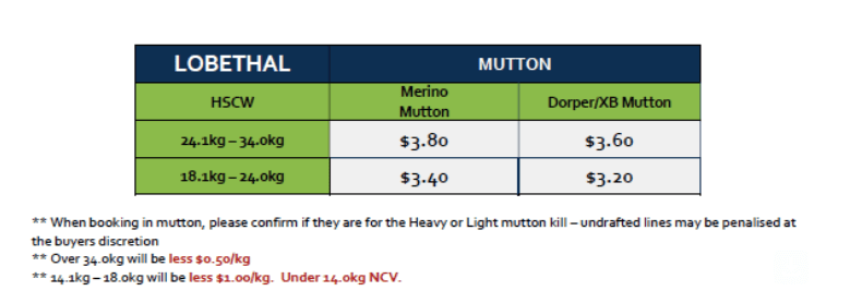 Mutton (grid 9), Lobethal SA - Agora Livestock listing 01KA1ZO