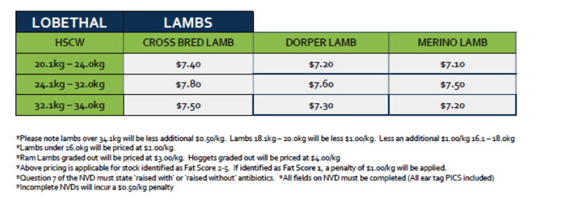 Lambs (grid 9B), Lobethal SA - Agora Livestock listing Y4LUW7D