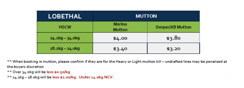 Mutton (grid 9B), Lobethal SA - Agora Livestock listing ER6I4DK