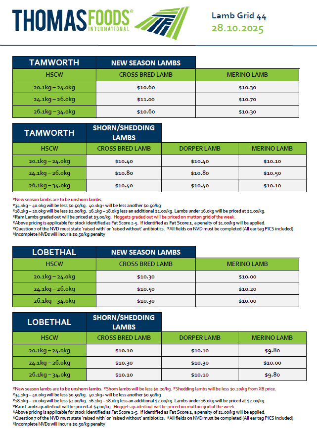 TFI Stawell Lamb grid update 44  (28/10/25), Stawell VIC - Agora Livestock listing NDPI22O